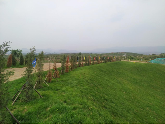 1706498272426015.png image.png