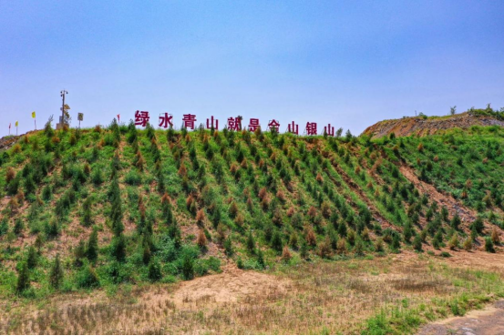 1706498278446527.png image.png