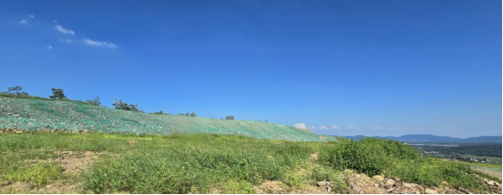 1735117365260769.png image.png