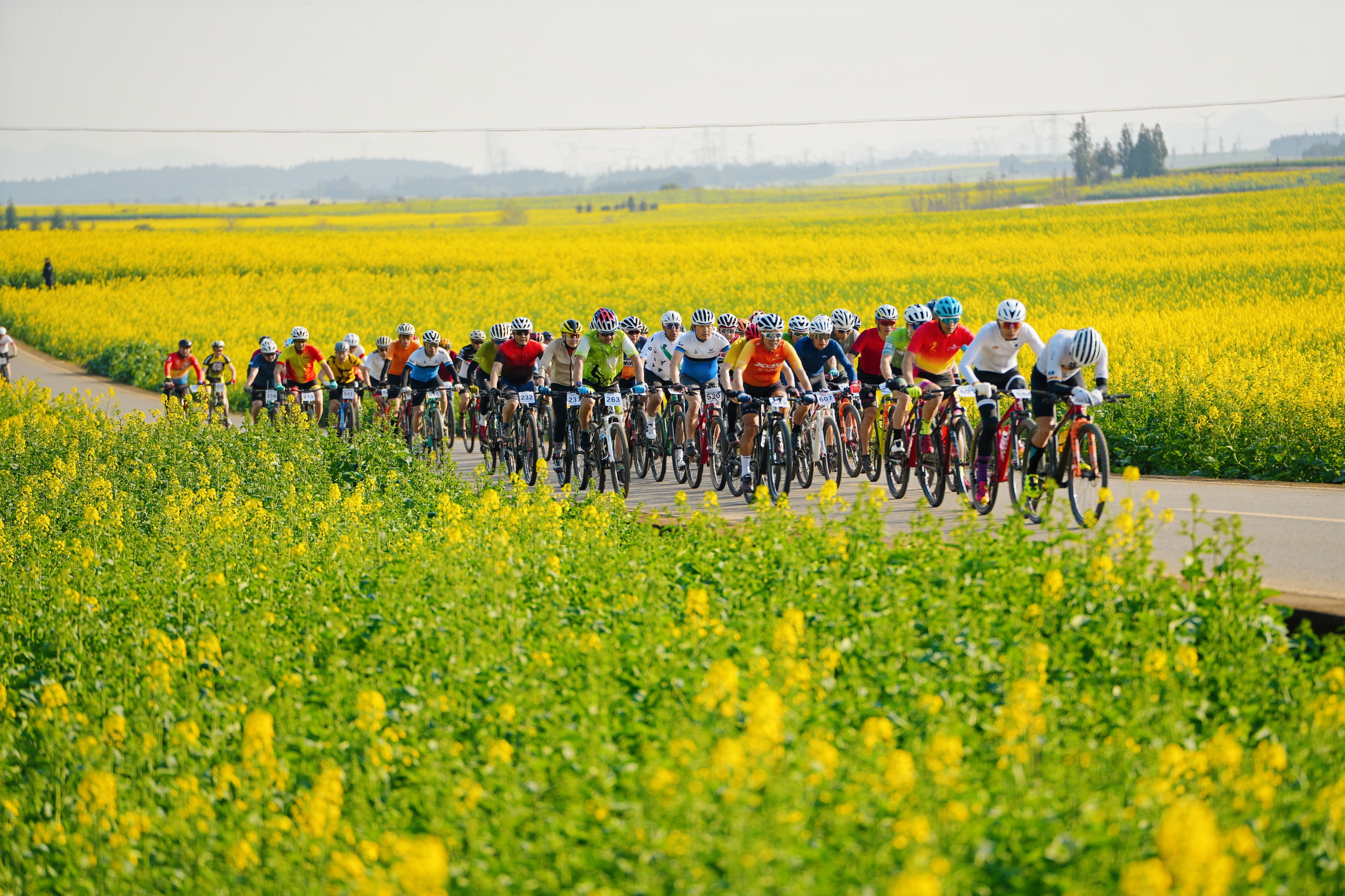 1741066962148282.jpg a08e43a8ae619c421d91015f2bf56ef.jpg